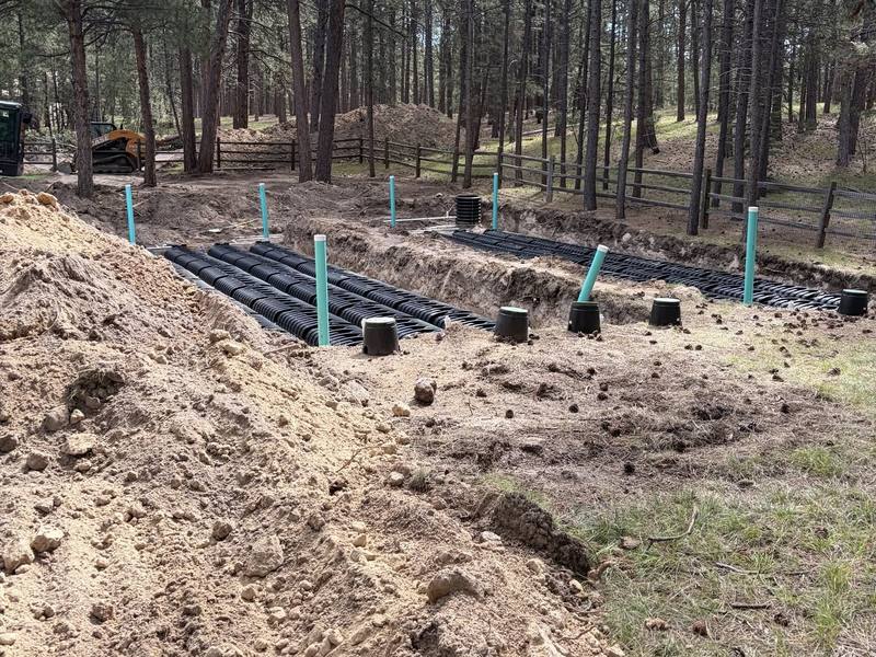 New drain field being installed in a pine forest, with rows of black chambers and green inspection ports